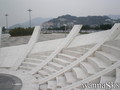 photo de skate