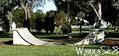 photo de skate