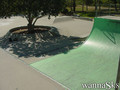 photo de skate