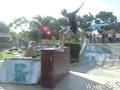 photo de skate