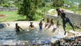 photo de skate