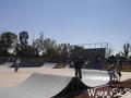 photo de skate