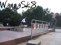 photo de skate