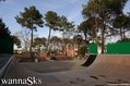 photo de skate