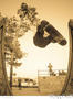 photo de skate