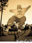photo de skate