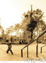 photo de skate