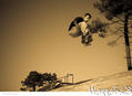 photo de skate