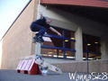 photo de skate
