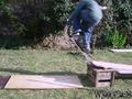 photo de skate