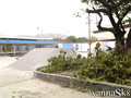photo de skate