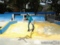 photo de skate