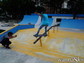 photo de skate