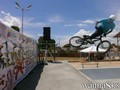 photo de skate